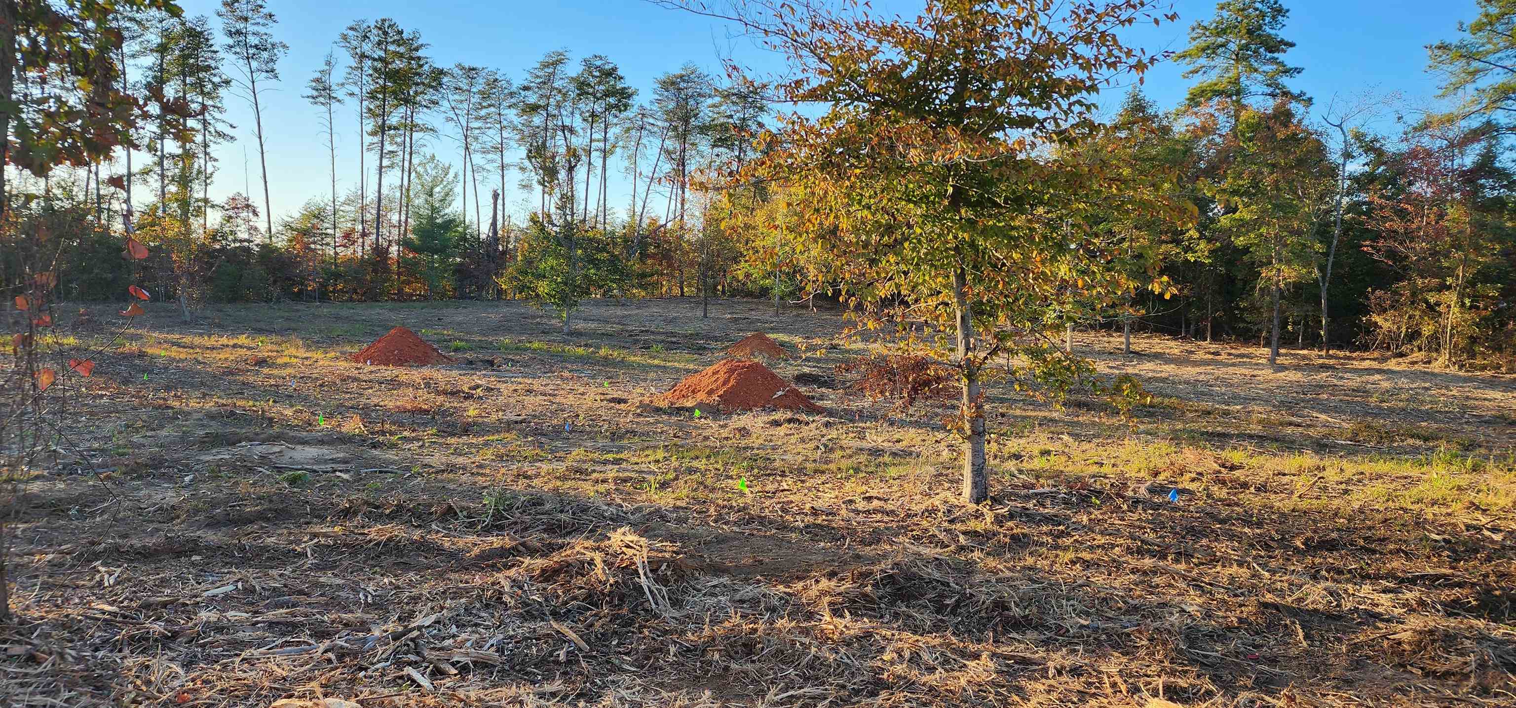 Lot 2 Poors Ford Road Rutherfordton, NC 28139 - Photo 16 of 29
