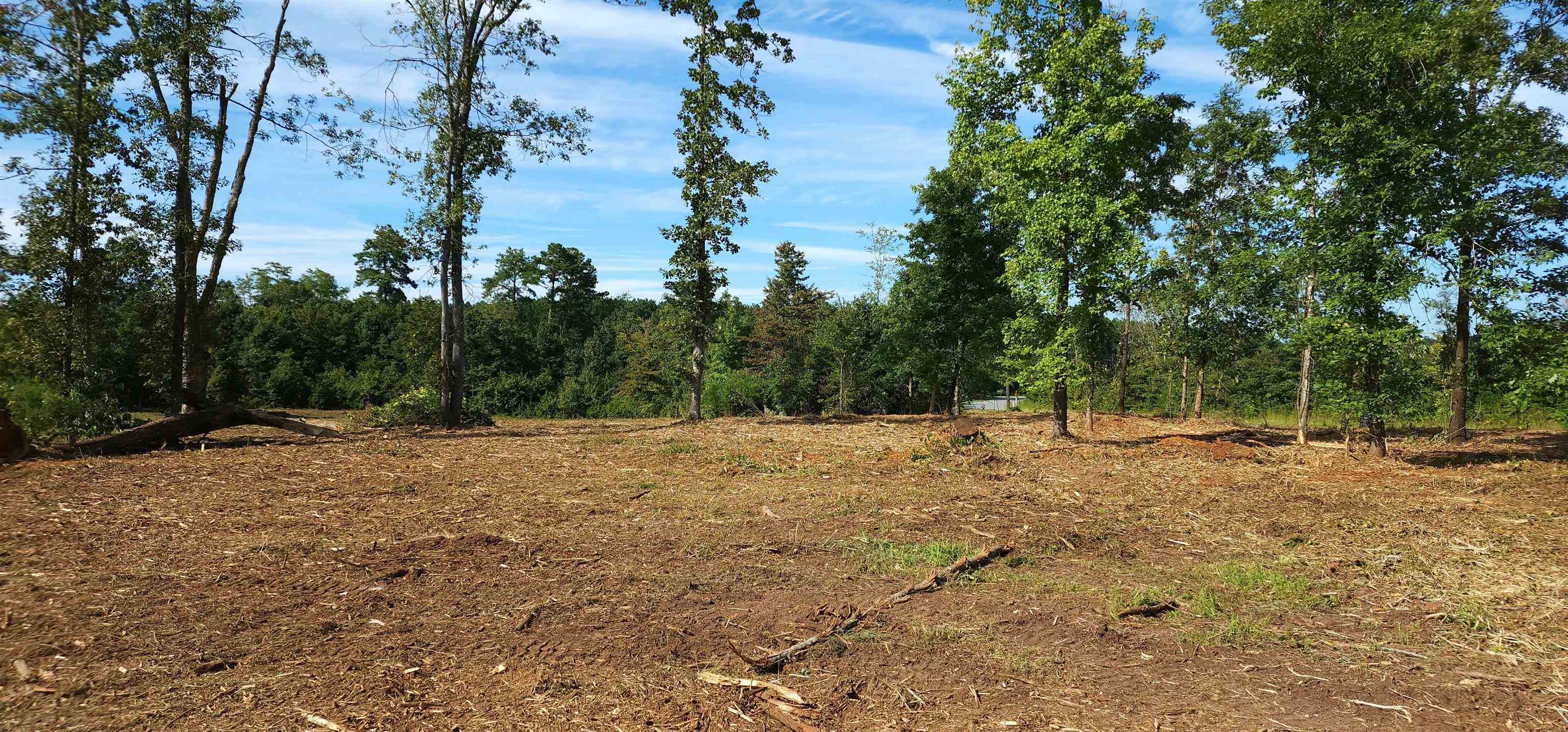 Lot 2 Poors Ford Road Rutherfordton, NC 28139 - Photo 21 of 29