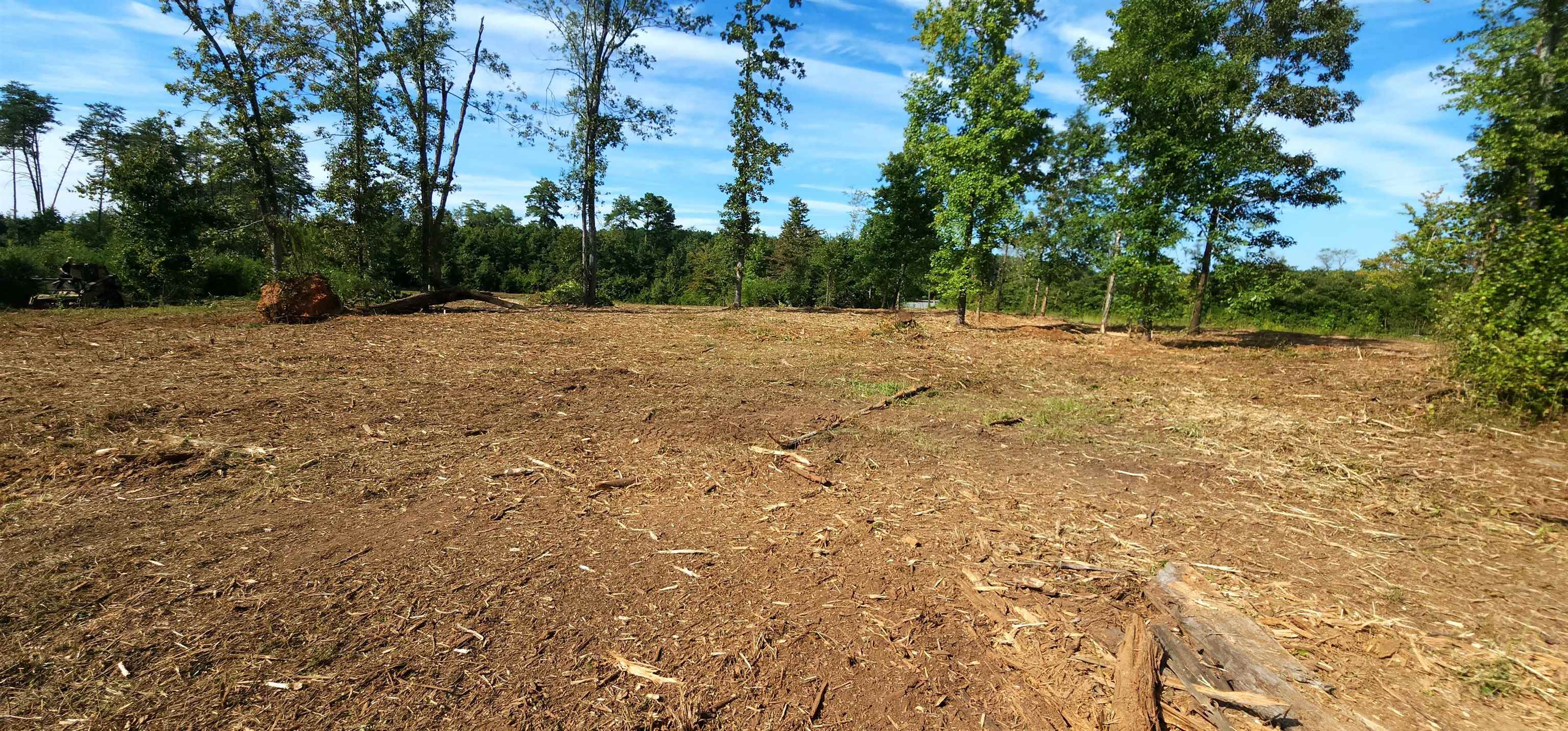 Lot 2 Poors Ford Road Rutherfordton, NC 28139 - Photo 24 of 29