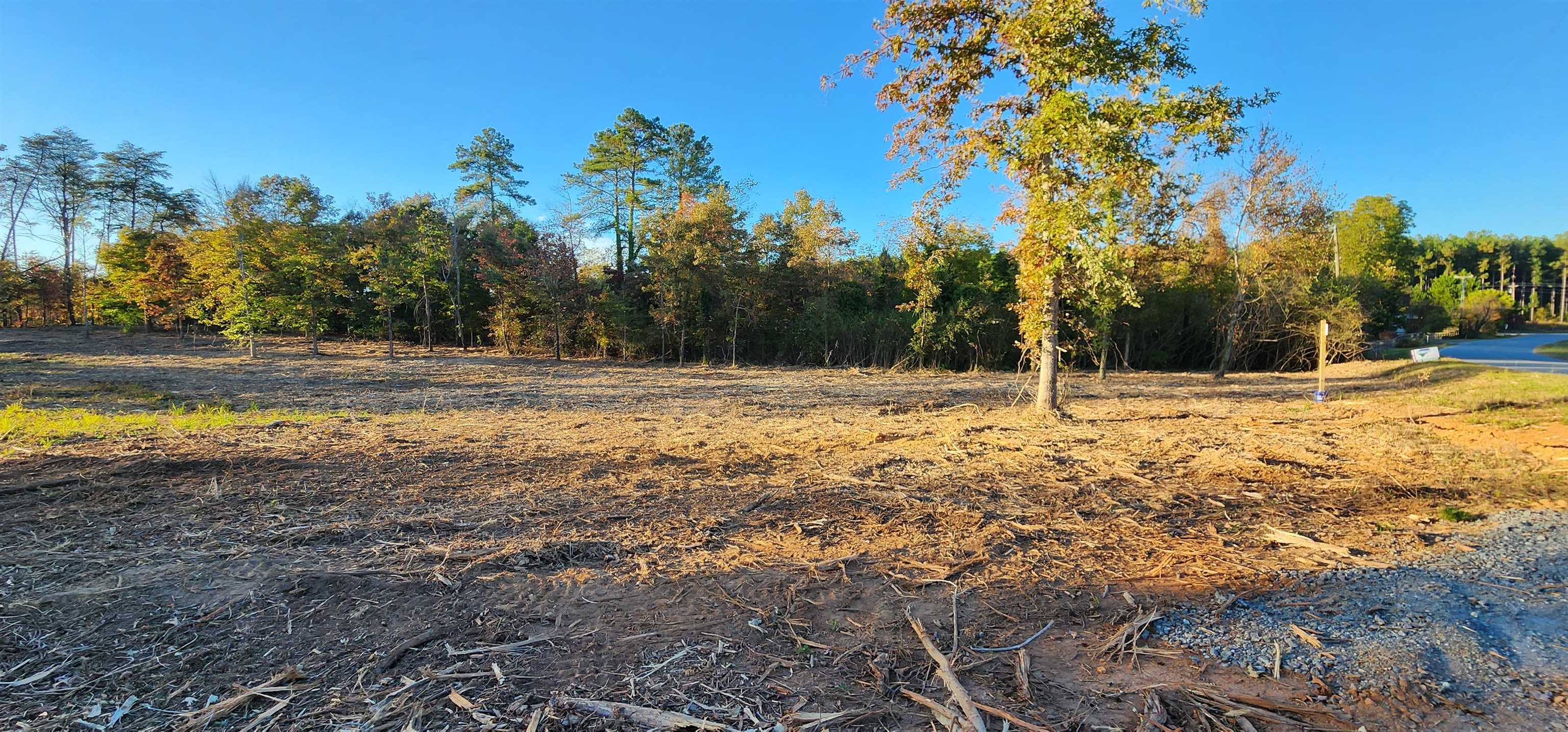 Lot 2 Poors Ford Road Rutherfordton, NC 28139 - Photo 3 of 29