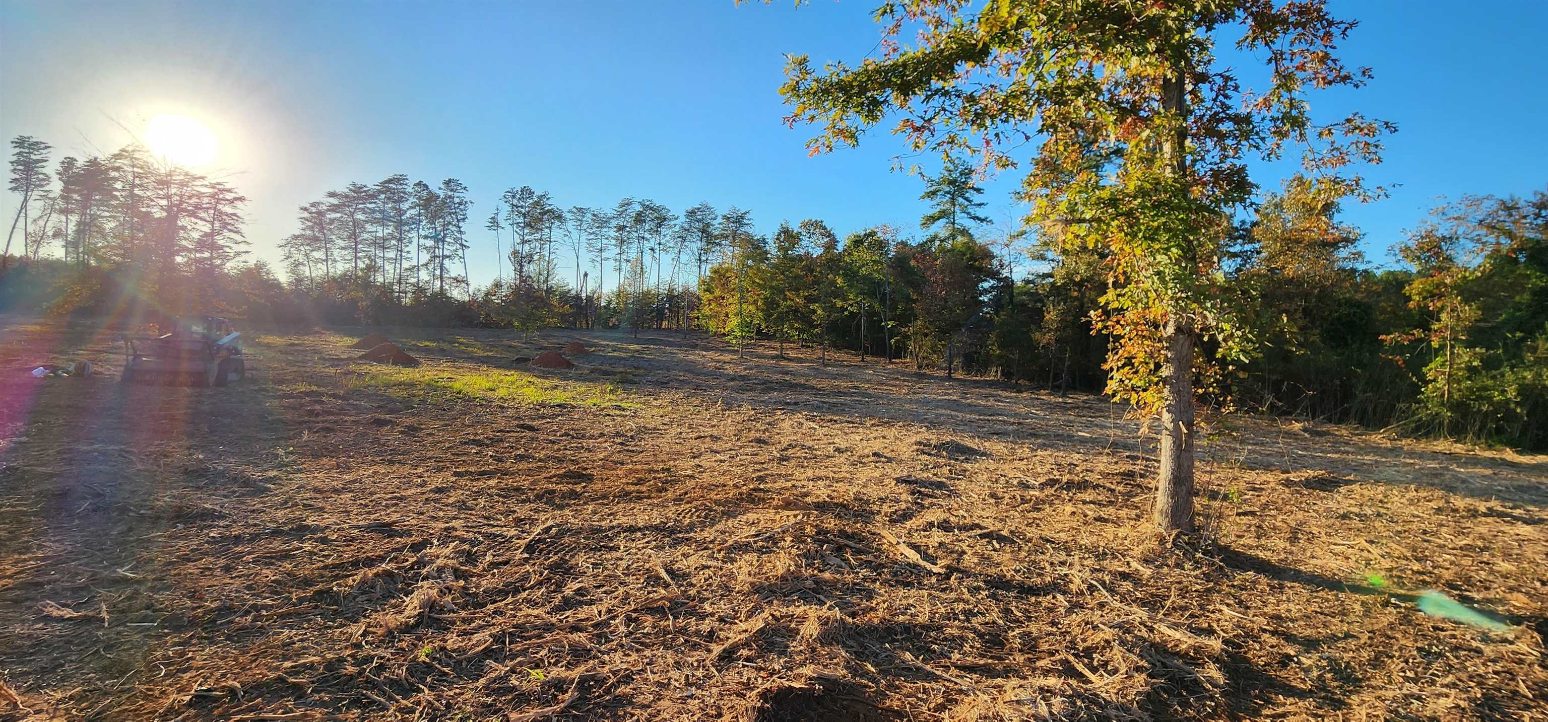 Lot 2 Poors Ford Road Rutherfordton, NC 28139 - Photo 8 of 29