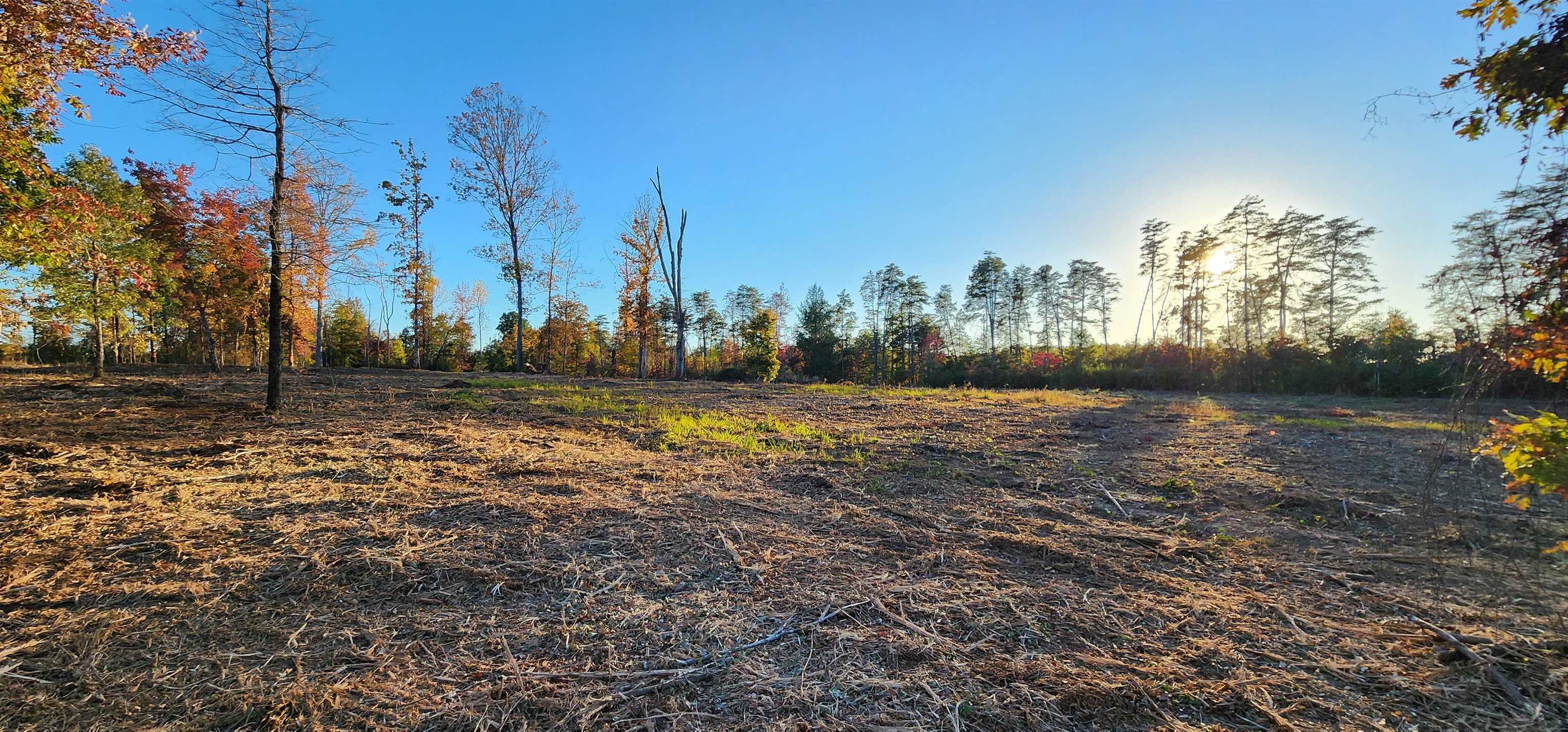 Lot 2 Poors Ford Road Rutherfordton, NC 28139 - Photo 9 of 29