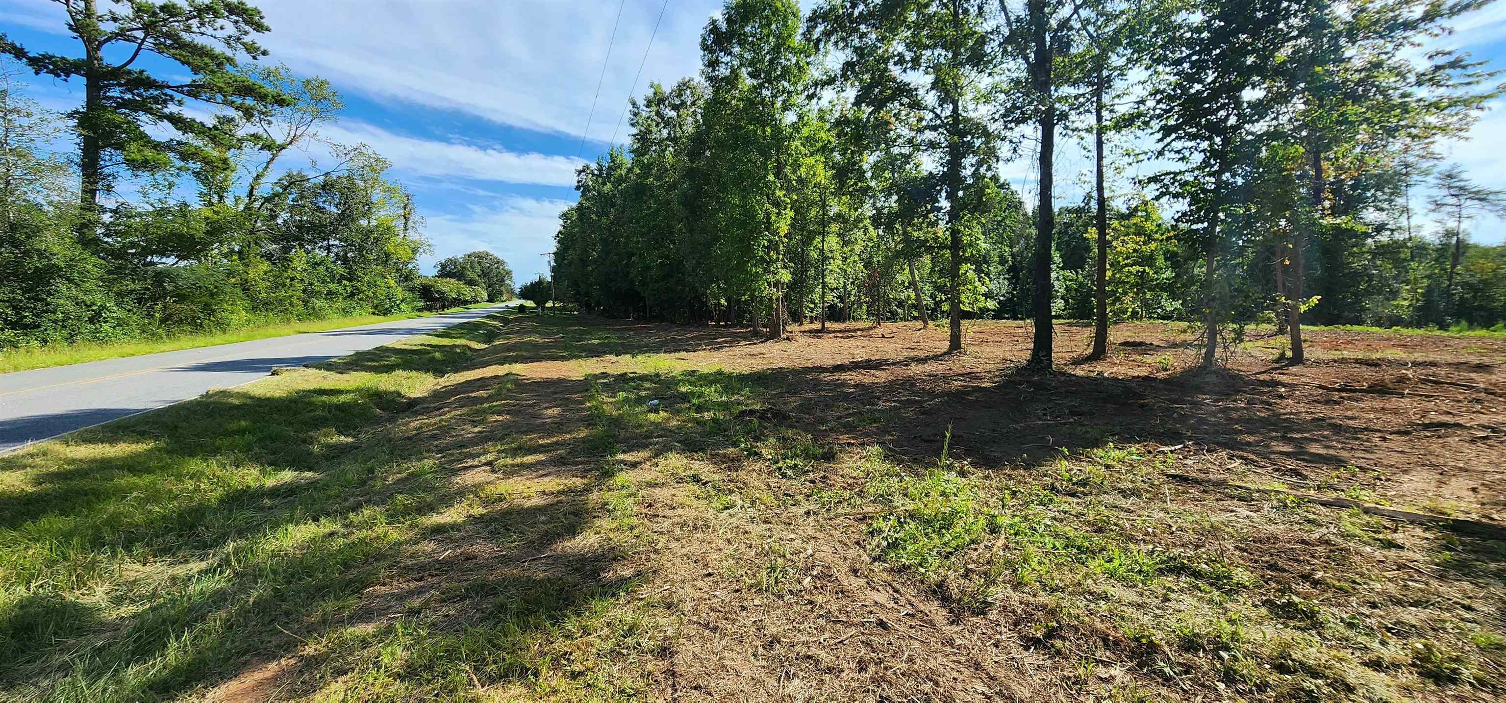 Lot 2 Poors Ford Road Rutherfordton, NC 28139 - Photo 10 of 29