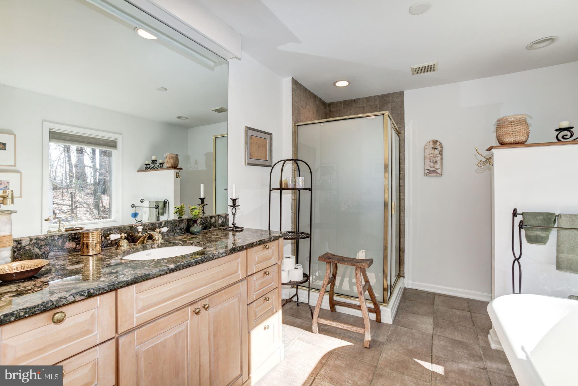 14601 Roxbury Road Glenelg, MD 21737 - Photo 32 of 52 Master Bathroom