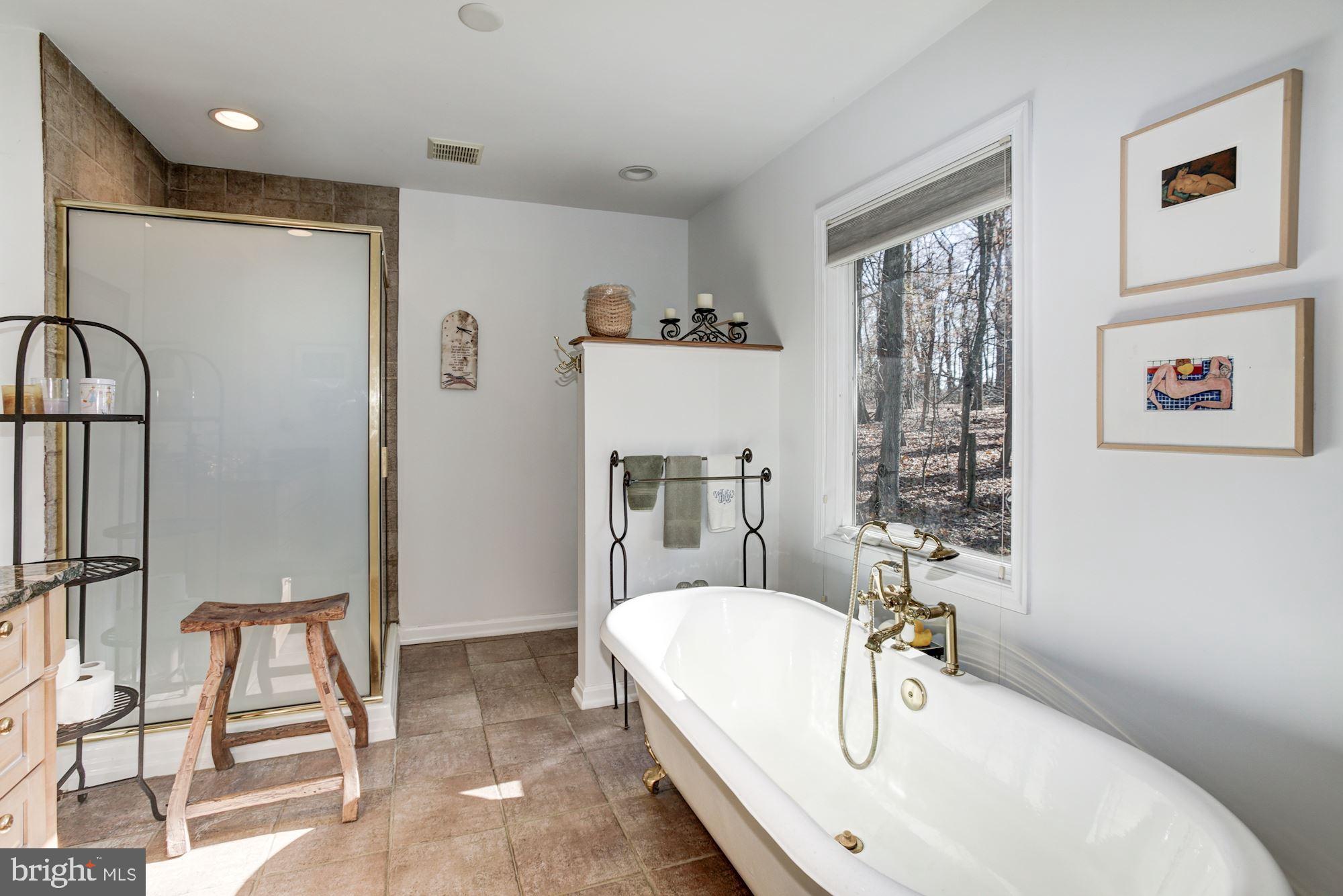 14601 Roxbury Road Glenelg, MD 21737 - Photo 33 of 52 Master Bathroom