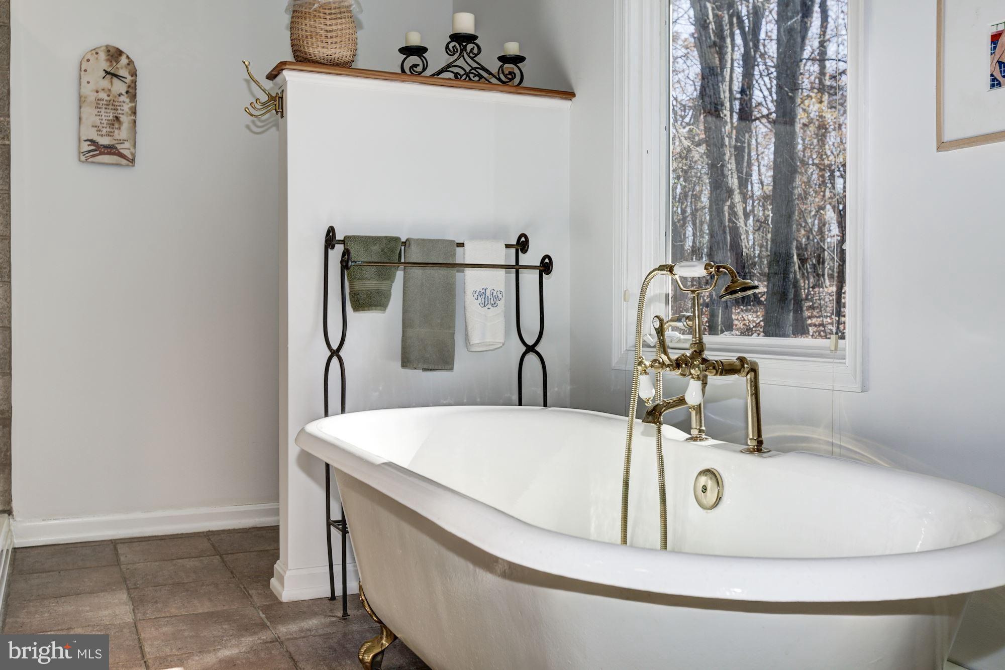 14601 Roxbury Road Glenelg, MD 21737 - Photo 34 of 52 Master Bathroom