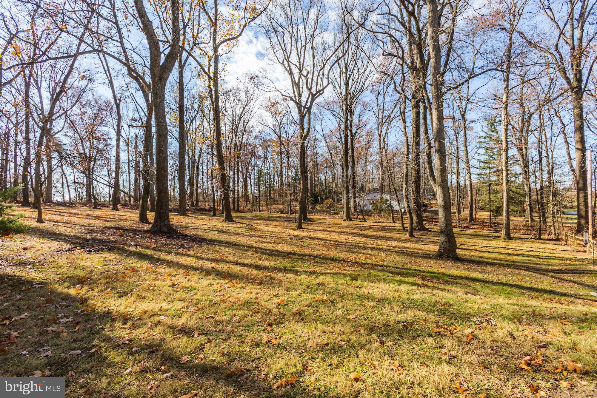 14601 Roxbury Road Glenelg, MD 21737 - Photo 50 of 52 Backyard