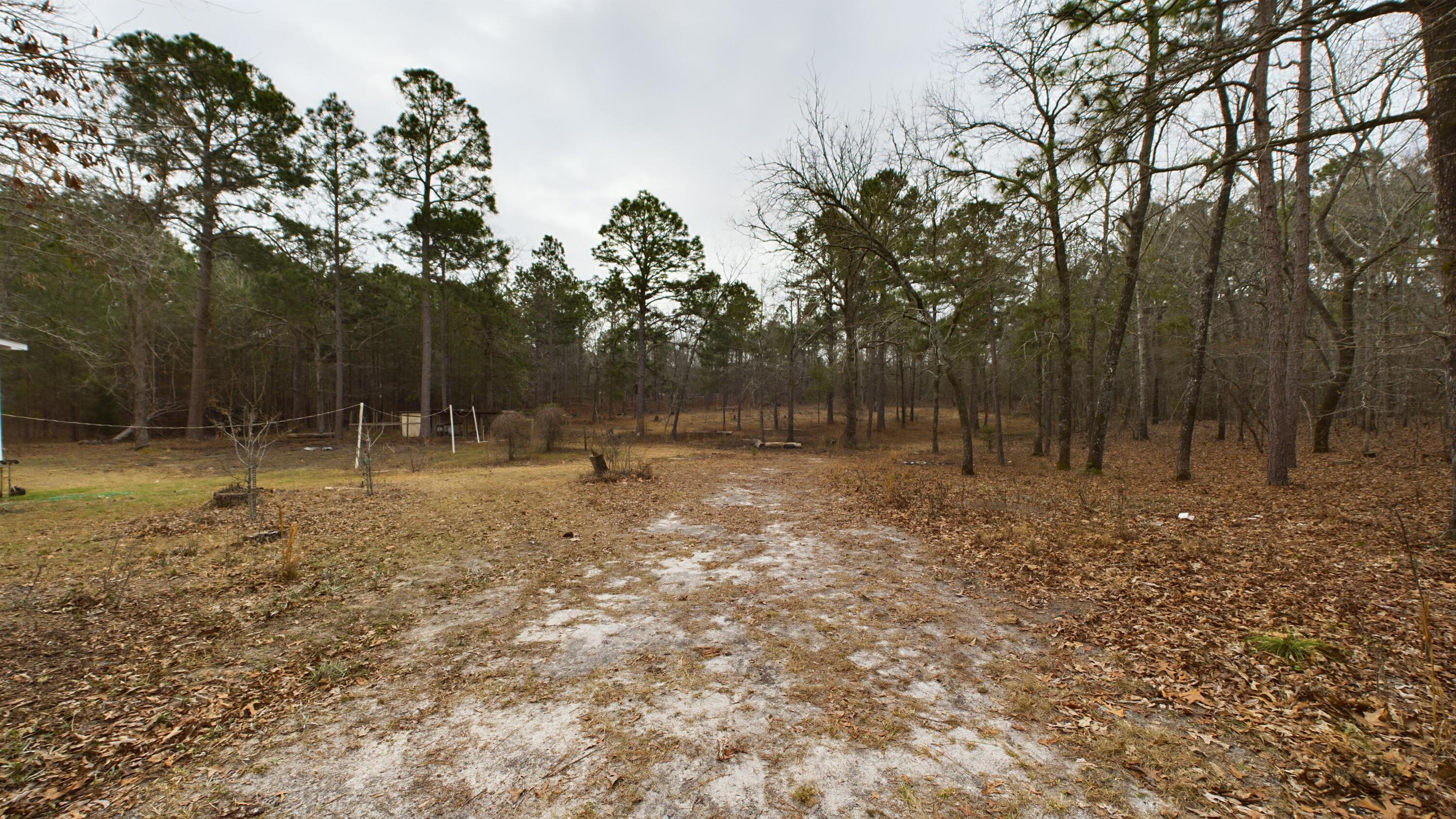433 Bounty Road Eutawville, SC 29048 - Photo 18 of 20 CAM04885G0-PR0013-STILL024