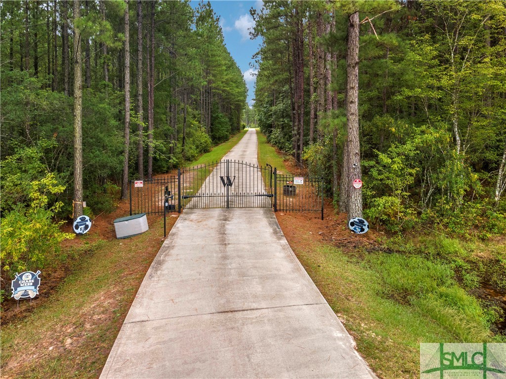 3404 Rye Patch Road Ludowici, GA 31316 - Photo 42 of 47 Gallery Image 42
