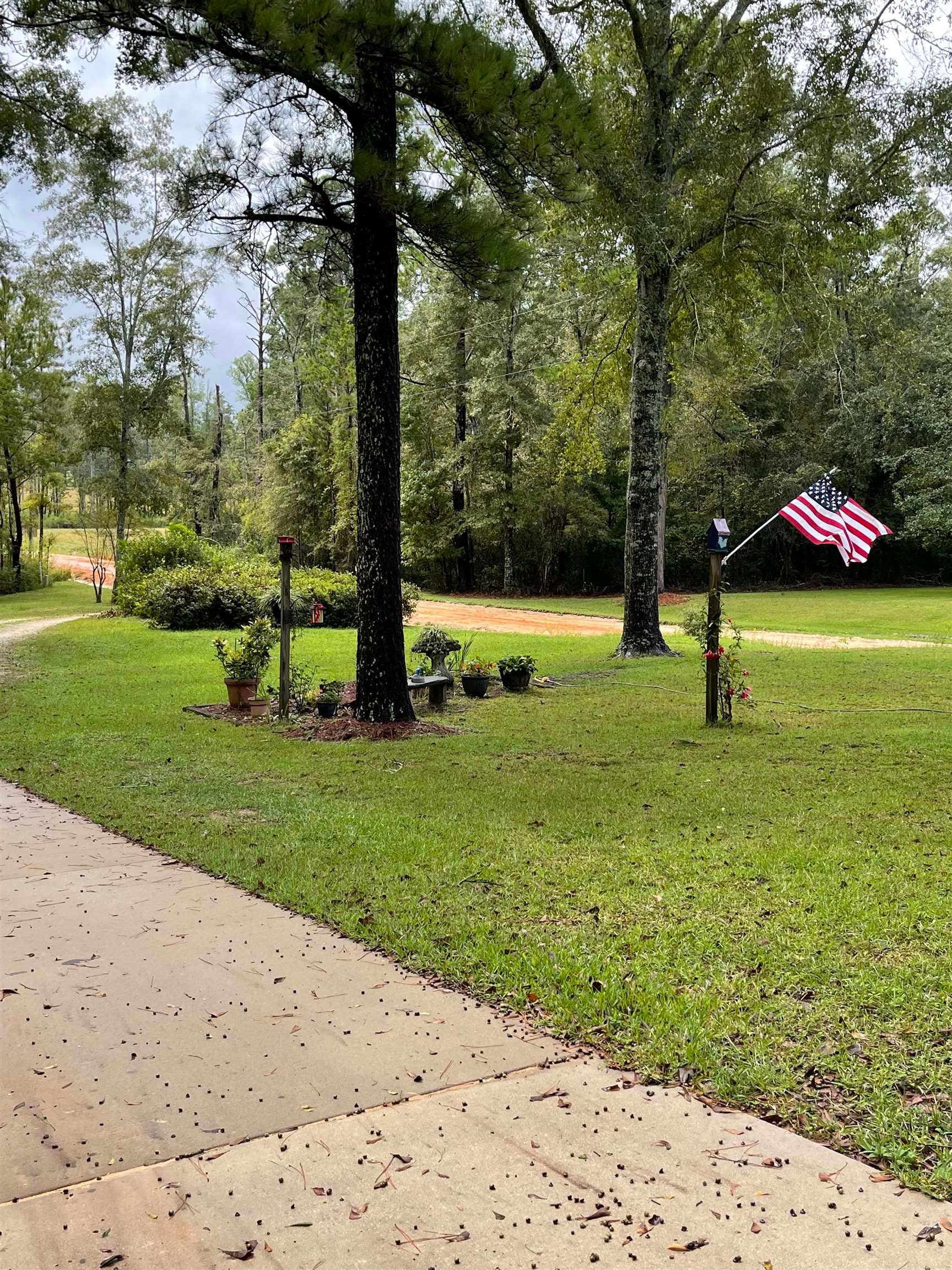 20688 George Boles Road Andalusia, AL 36421 - Photo 26 of 27 Gallery Image 26