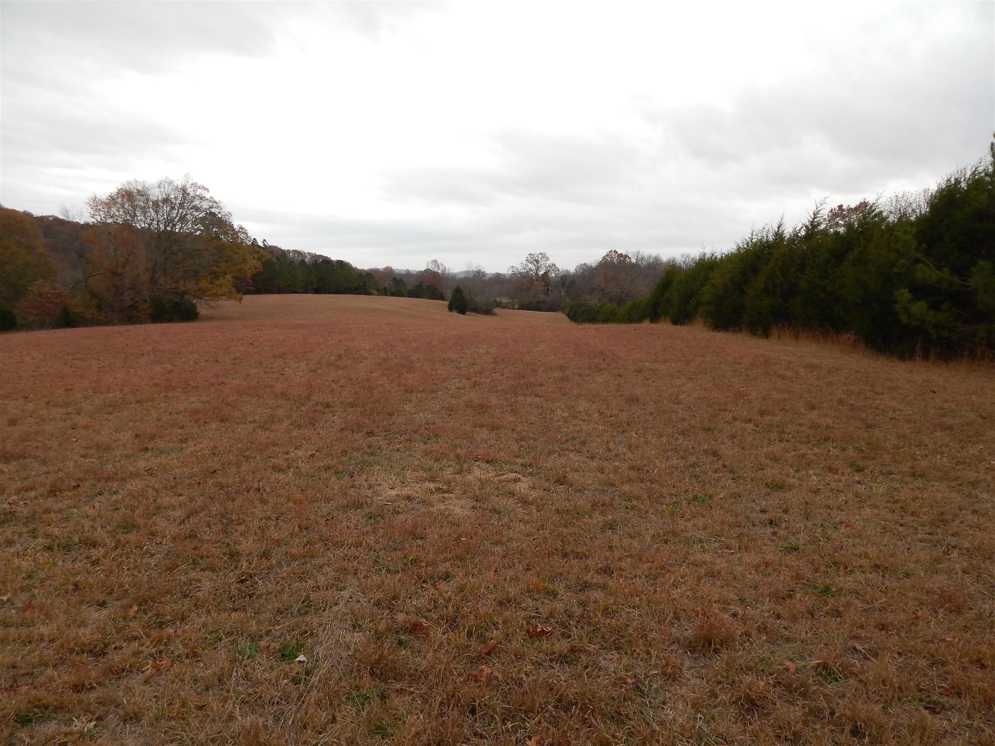 0 Liberty-prospect Road Prospect, TN 38477 - Photo 1 of 4