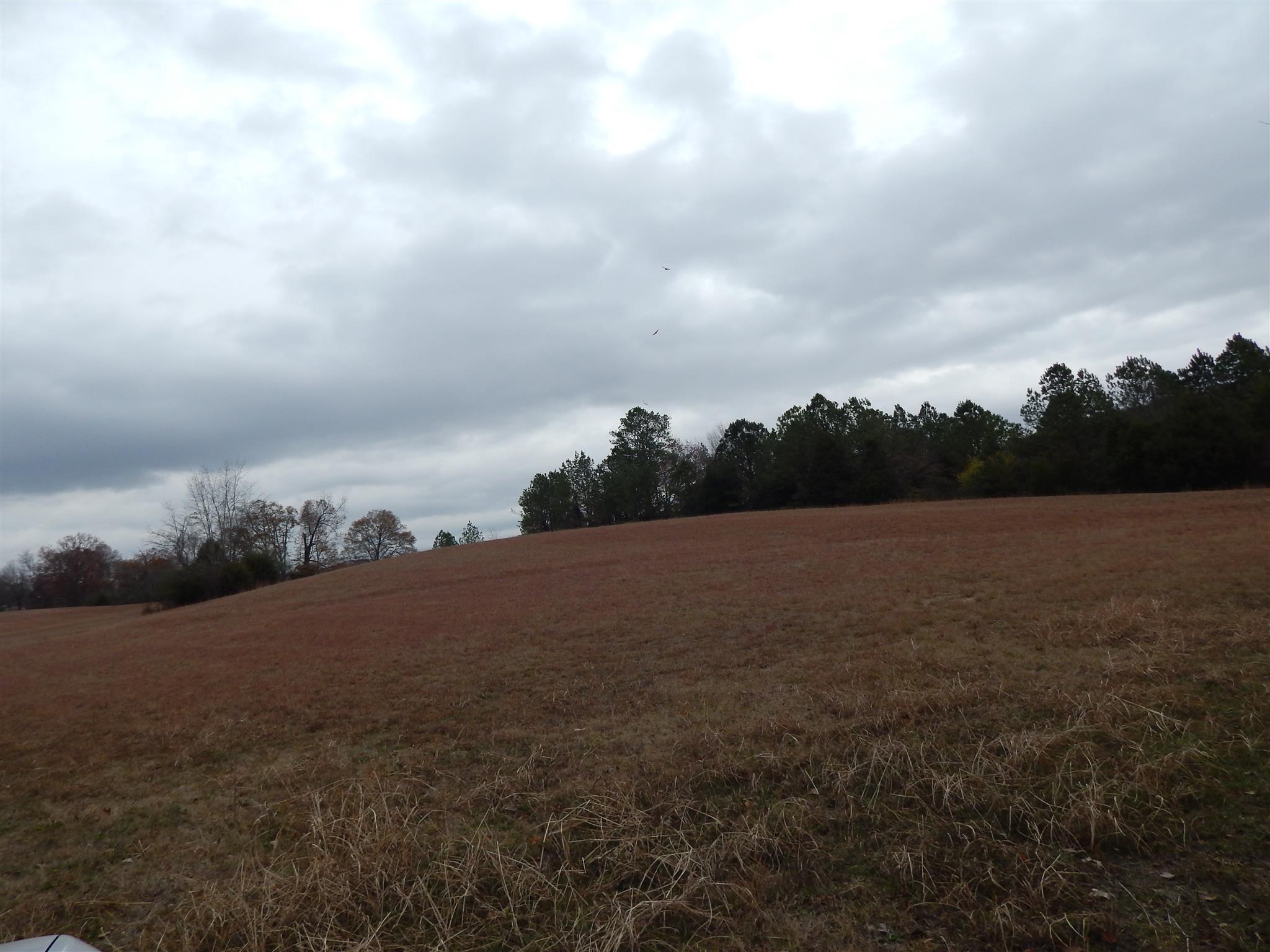 0 Liberty-prospect Road Prospect, TN 38477 - Photo 3 of 4