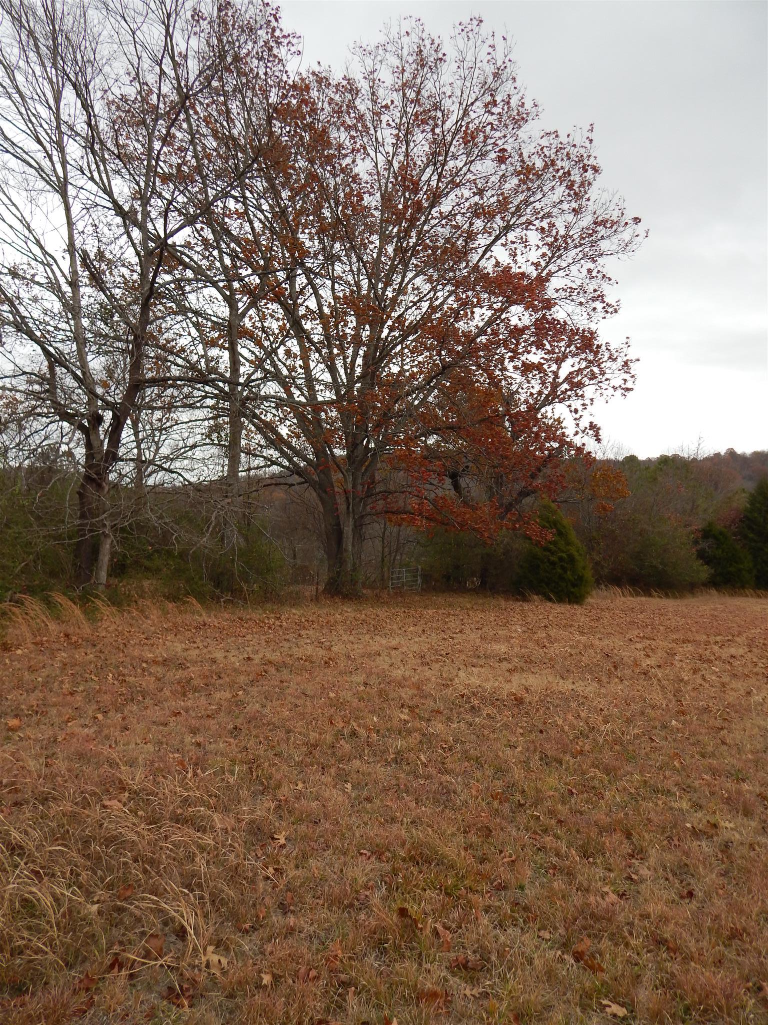 0 Liberty-prospect Road Prospect, TN 38477 - Photo 4 of 4