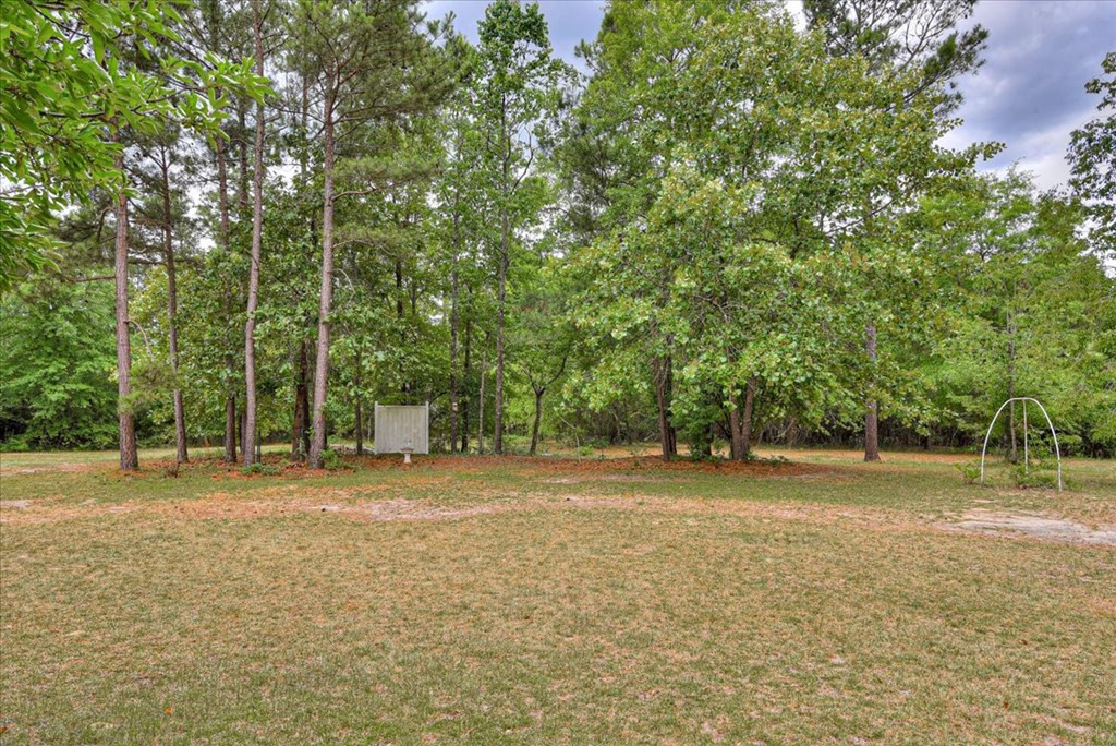 741 Mason Branch Road Ridge Spring, SC 29129 - Photo 18 of 24