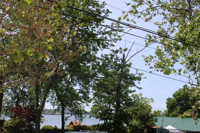 an outdoor space with lots of trees