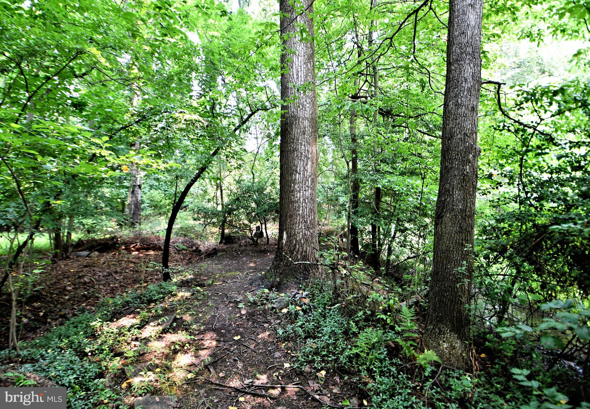 108 Glen Valley Road Morrisville, PA 19067 - Photo 70 of 83 wood lot