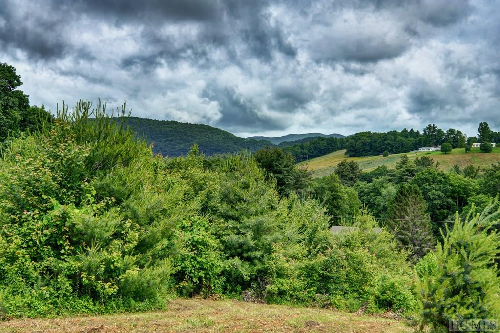 Tract A North Norton Road Cullowhee, NC 28723 - Photo 9 of 18 Gallery Image 9