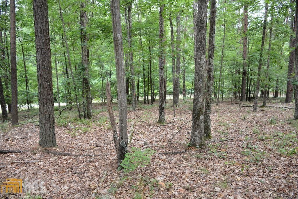 4761 Fosters Mill Road Cave Spring, GA 30124 - Photo 1 of 1 a view of outdoor space with lots of trees