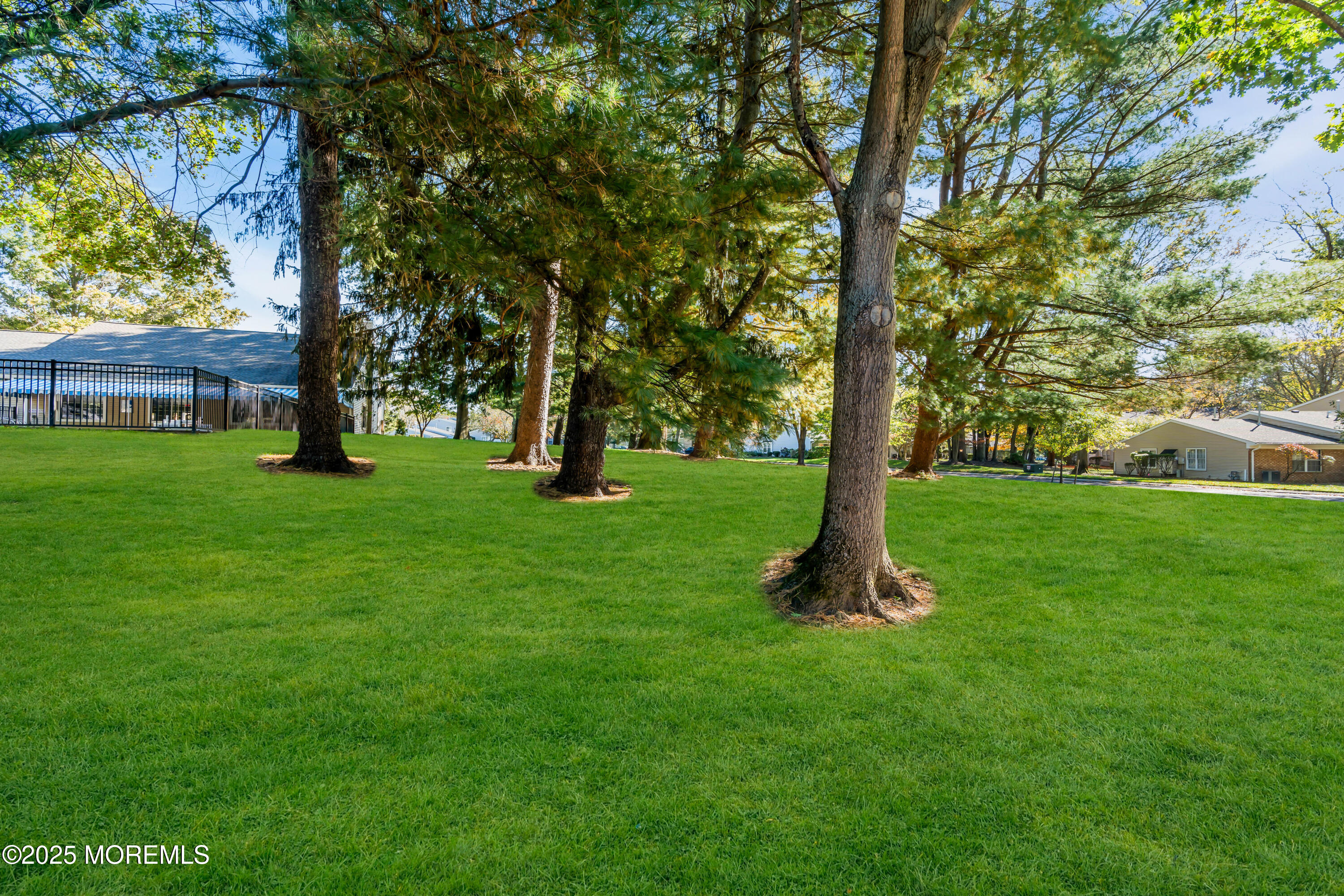 59 Boxwood Terrace Red Bank, NJ 07701 - Photo 40 of 46 a view of a garden with a tree