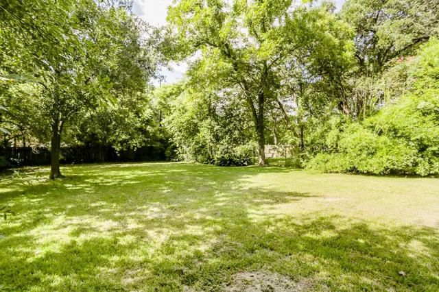 a view of yard with green space
