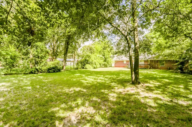 a view of yard with tree