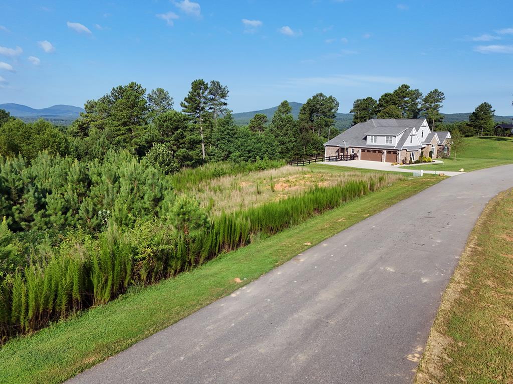 278 Ridge Pointe Way Blairsville, GA 30512 - Photo 23 of 54 Gallery Image 23
