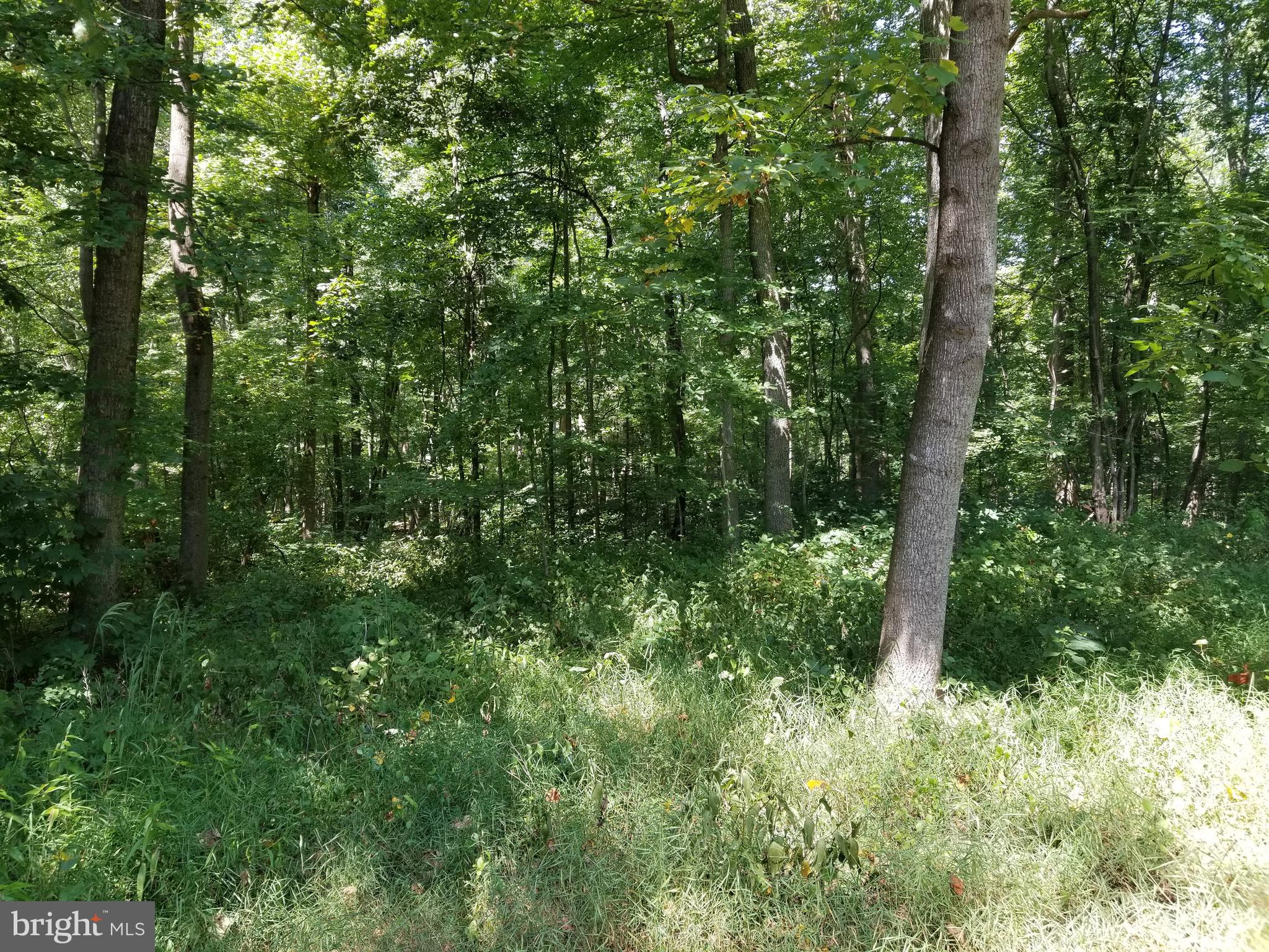 23223 Dover Road Middleburg, VA 20117 - Photo 8 of 12 Gallery Image 8