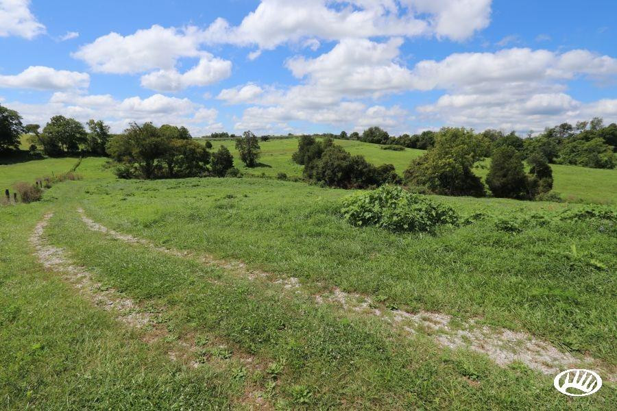 375 Hippe-Agee Road Frankfort, KY 40601 - Photo 18 of 47 Photo 18