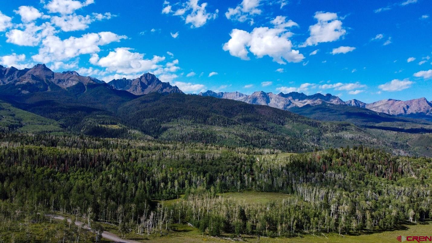9757 County Road 5 Ridgway, CO 81432 - Photo 14 of 15 a view of a lake in middle of forest