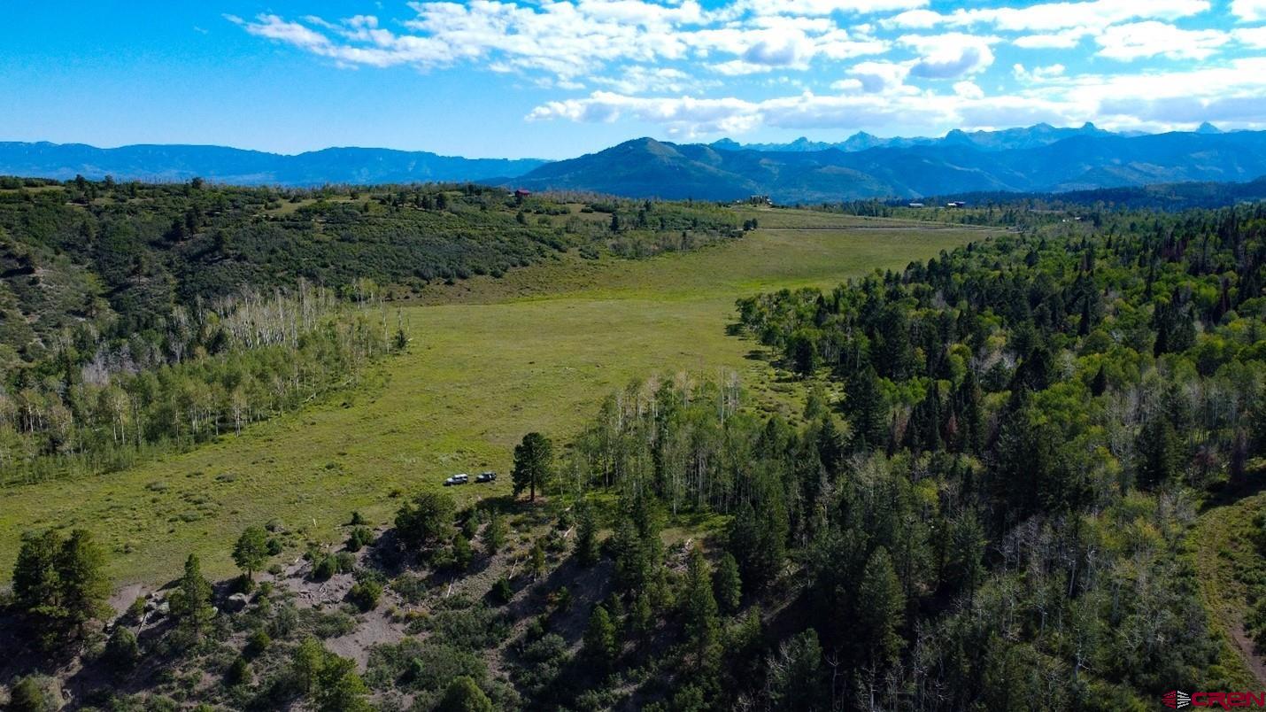 9757 County Road 5 Ridgway, CO 81432 - Photo 4 of 15