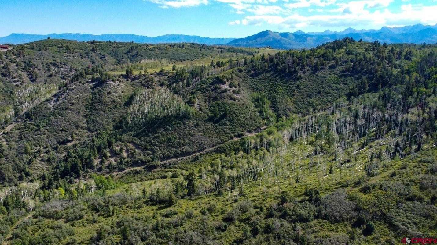 9757 County Road 5 Ridgway, CO 81432 - Photo 6 of 15 a view of a lush green hillside and a mountain