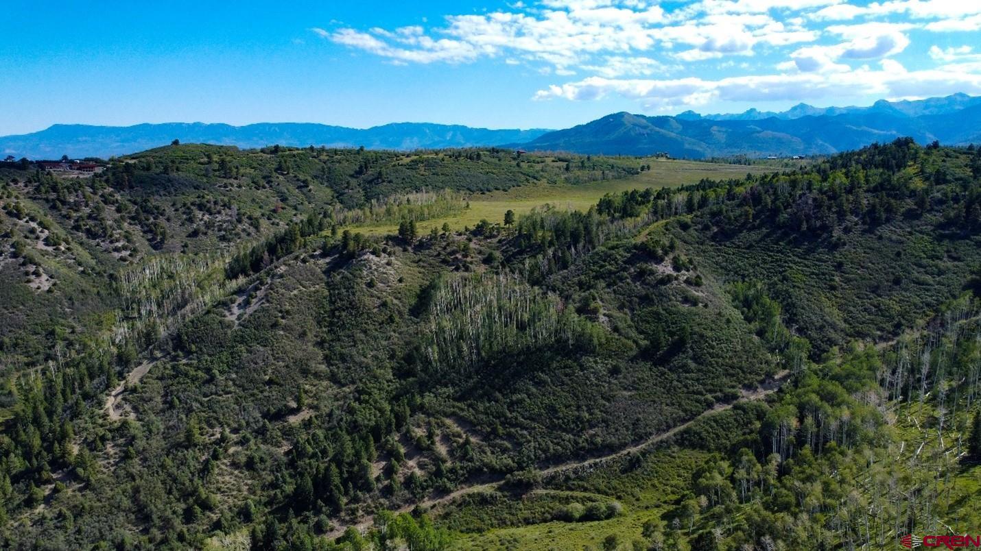 9757 County Road 5 Ridgway, CO 81432 - Photo 7 of 15 a view of a city with lush green forest
