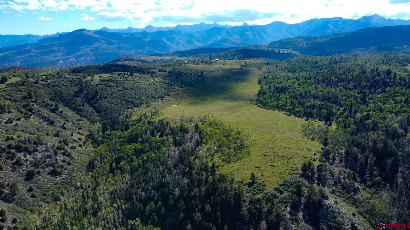 9757 County Road 5 Ridgway, CO 81432 - Photo 8 of 15 a view of a lush green hillside and a houses