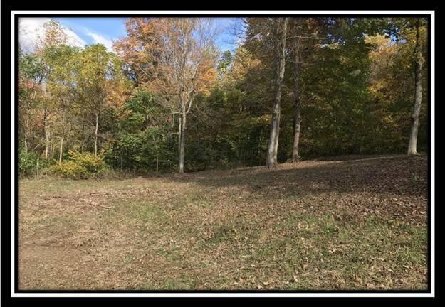 1476 Whetstone Road Bainbridge, OH 45612 - Photo 18 of 37 image018