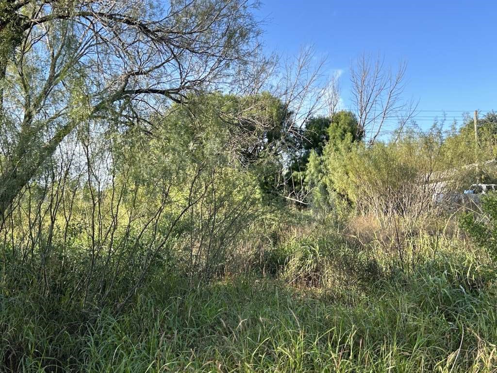 807 Jay Street Cotulla, TX 78014 - Photo 2 of 2