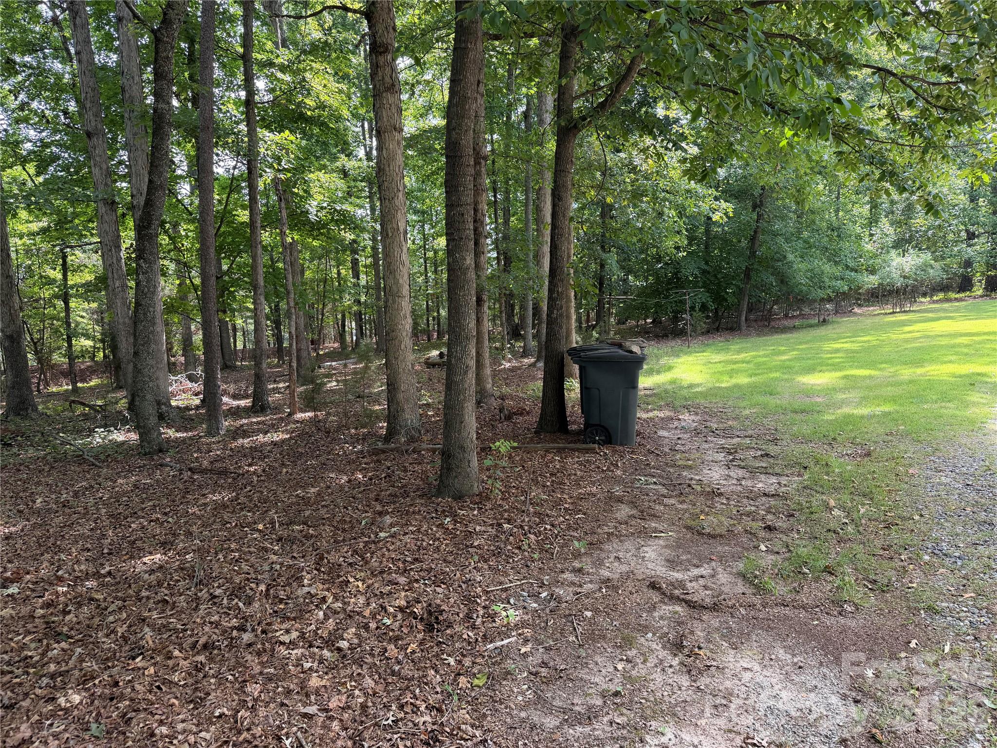 556 Gilbert Road Columbus, NC 28722 - Photo 7 of 15