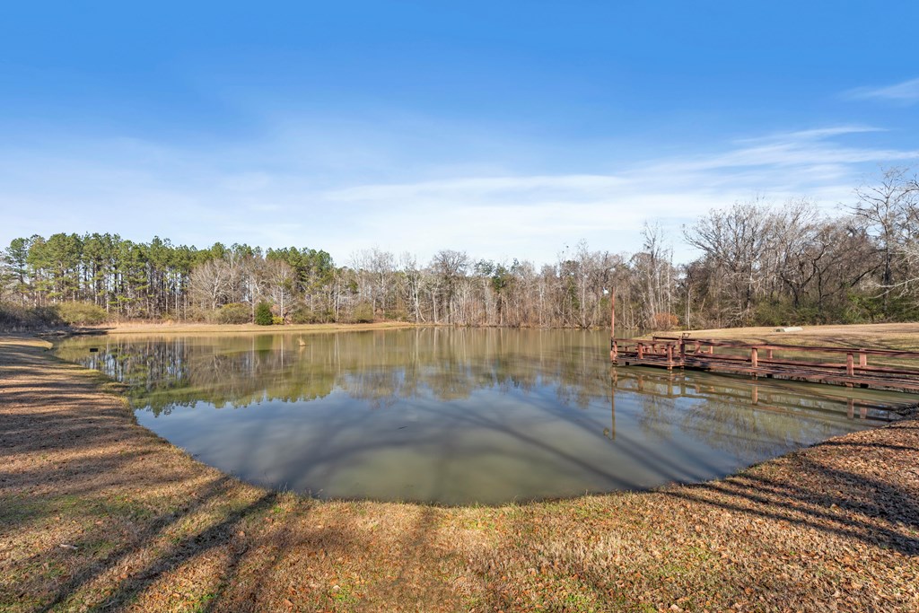 1047 East Smithville Road Dothan, AL 36301 - Photo 11 of 73 Gallery Image 11