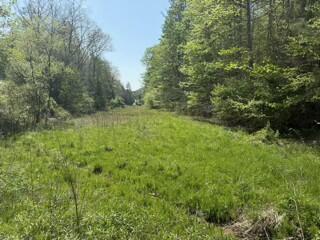 431 Harold Luke Road Campton, KY 41301 - Photo 69 of 82 070 the field area along the stream in t