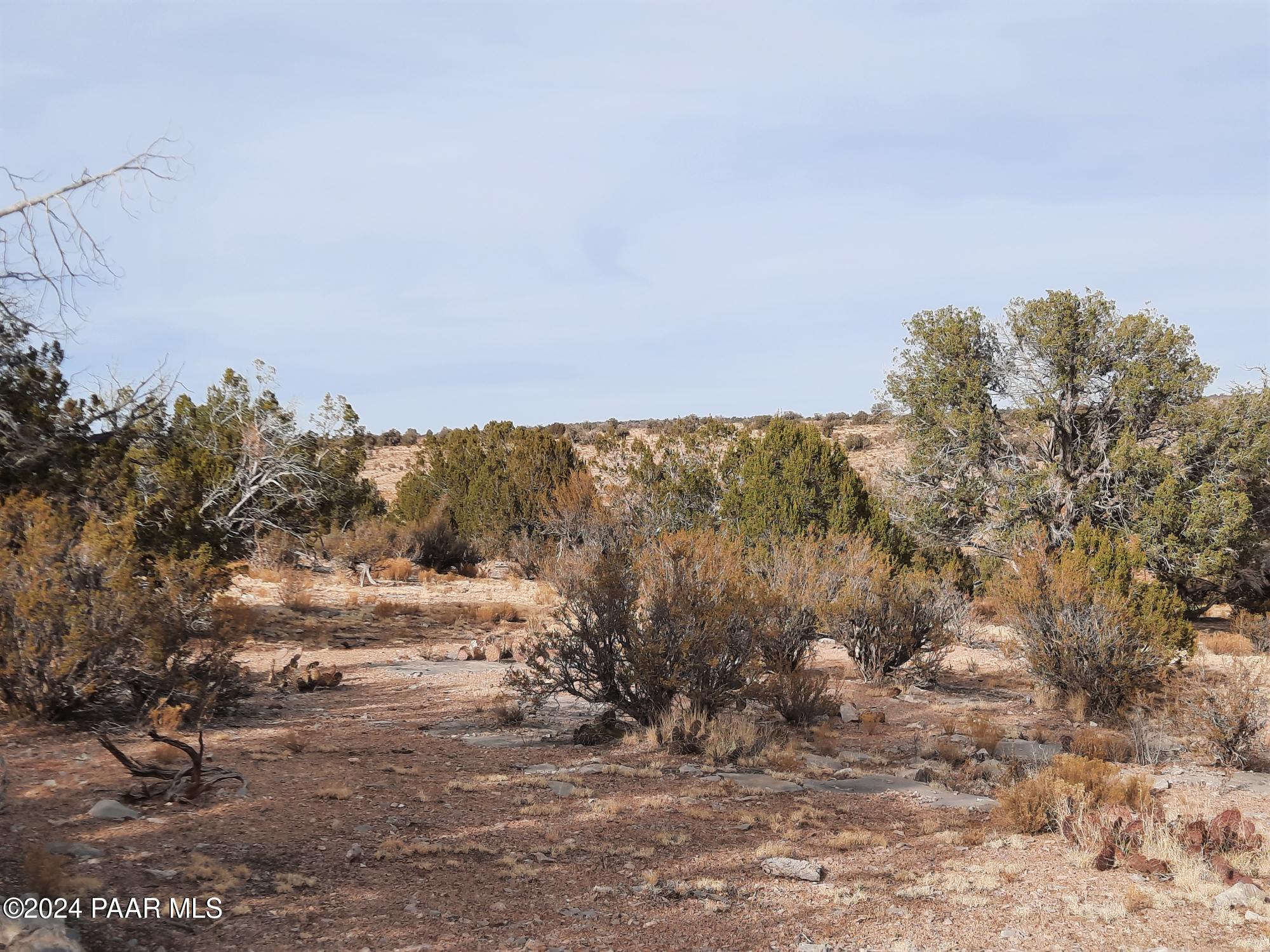 94 West Denny 5 Seligman, AZ 86337 - Photo 2 of 13 20241228_150414