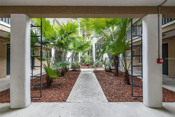 a view of a porch with plants