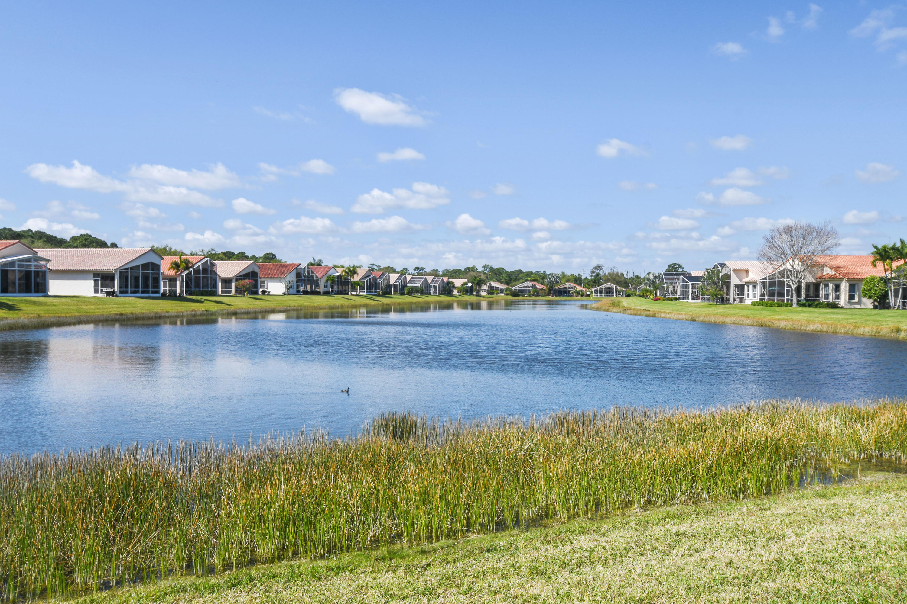 420 Springview Loop Port St. Lucie, FL 34986 - Photo 44 of 78 420NWSpringviewLoop_49