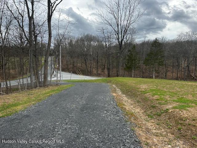 2809 Old Kings Road Catskill, NY 12414 - Photo 1 of 13 IMG_3594