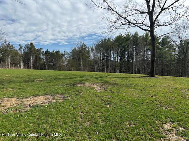 2809 Old Kings Road Catskill, NY 12414 - Photo 13 of 13 IMG_3639