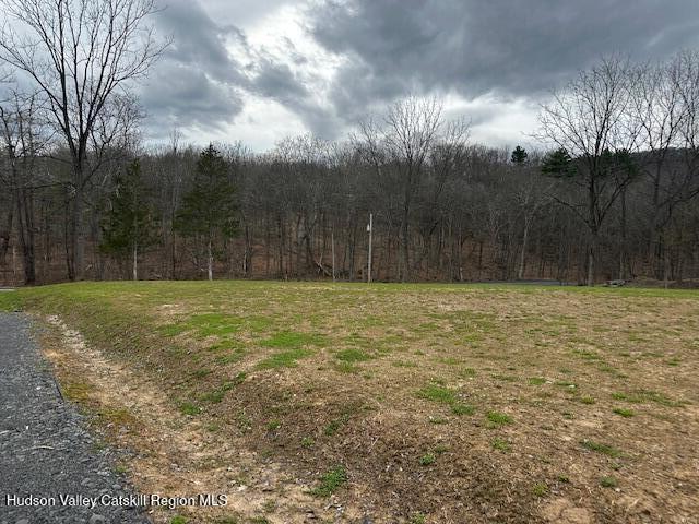 2809 Old Kings Road Catskill, NY 12414 - Photo 2 of 13 IMG_3595