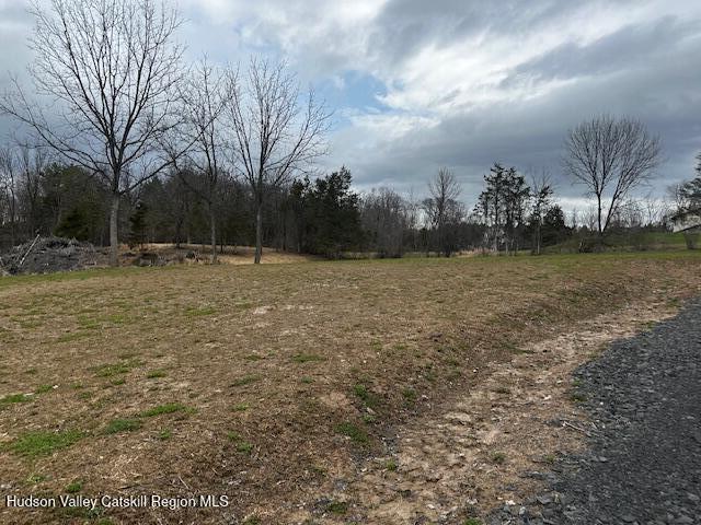 2809 Old Kings Road Catskill, NY 12414 - Photo 3 of 13 IMG_3596