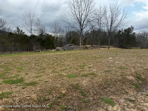 a view of a field with trees