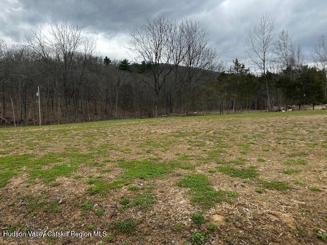 2809 Old Kings Road Catskill, NY 12414 - Photo 5 of 13 IMG_3598