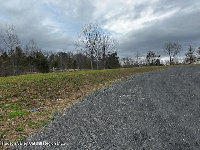 2809 Old Kings Road Catskill, NY 12414 - Photo 9 of 13 IMG_3603