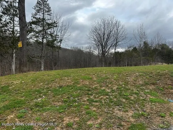 a view of a field with trees in the background
