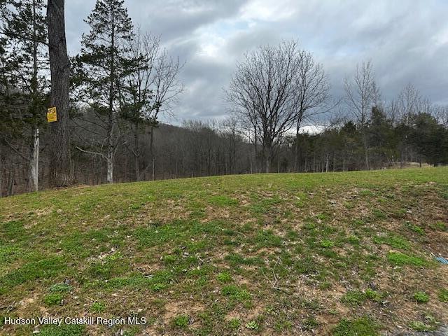 2809 Old Kings Road Catskill, NY 12414 - Photo 10 of 13 IMG_3604